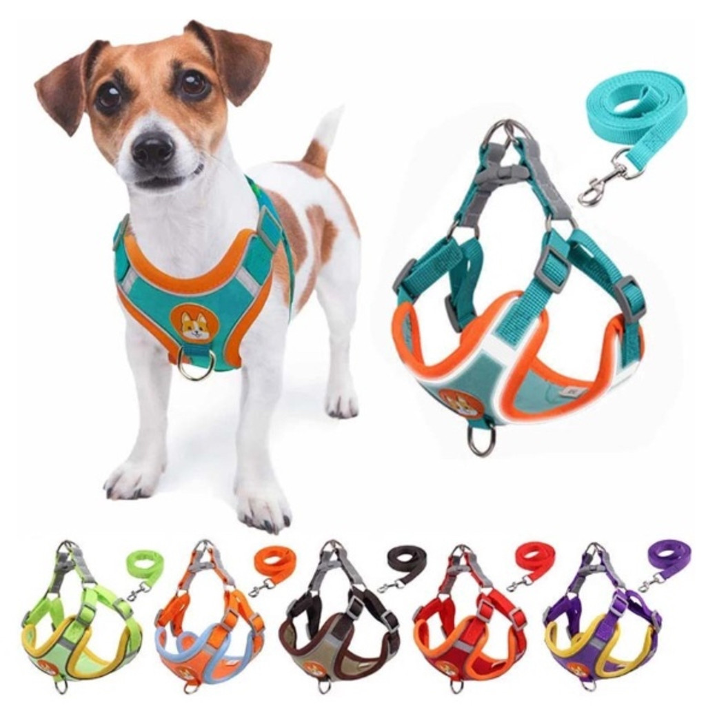 Review Coleira Peitoral Cachorro E Gato, Conjunto De Guia + Coleira Tipo Colete Para Pet Pequenos E Médios: Vale a Pena em 2026?