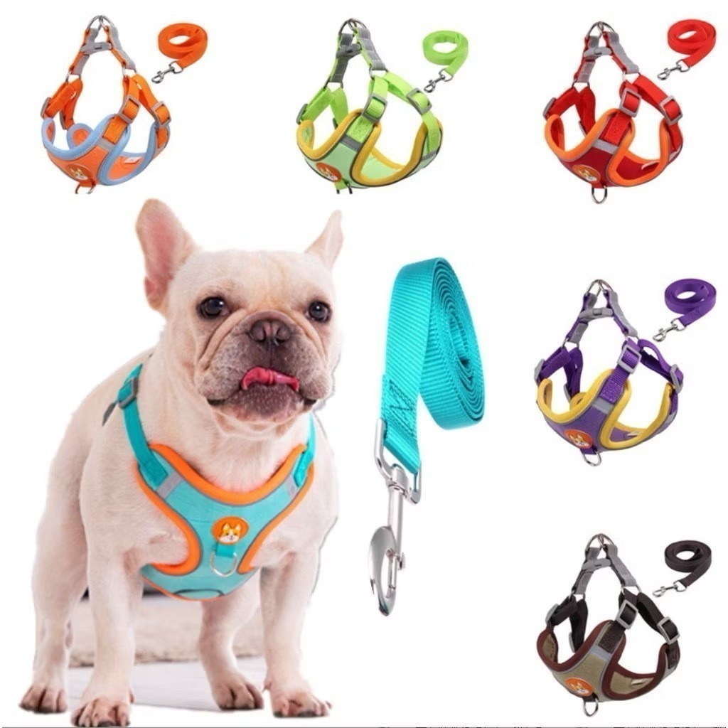 Review Coleira Peitoral Cachorro E Gato, Conjunto De Guia + Coleira Tipo Colete Para Pet Pequenos E Médios: Vale a Pena em 2026?