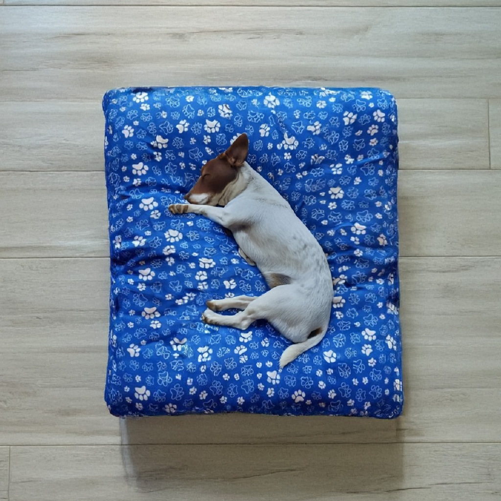 Review Cama Colchonete Almofada para Cachorro ou Gato Pet Pequeno Médio e Grande Lavável com Zíper: Vale a Pena em 2026?